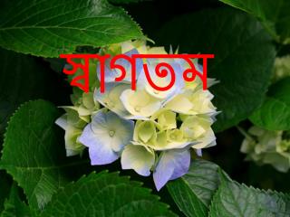 স্বাগতম