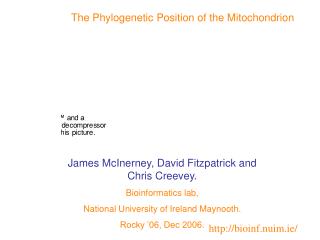 The Phylogenetic Position of the Mitochondrion