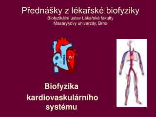 Biofyzika kardiovaskulárního systému