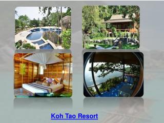 Koh Tao Resort