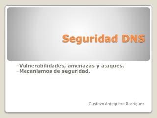 Seguridad DNS