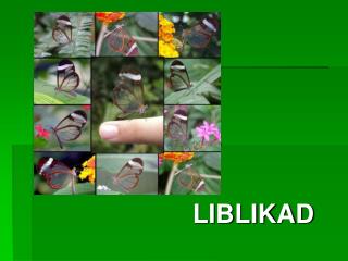 LIBLIKAD