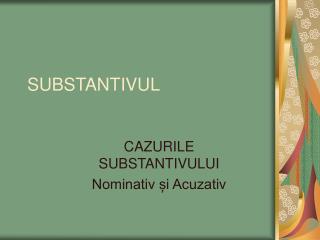 SUBSTANTIVUL