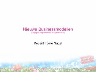 Nieuwe Businessmodellen (Aangepast programma voor deeltijd studenten)