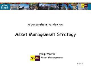 a comprehensive view on Asset Management Strategy