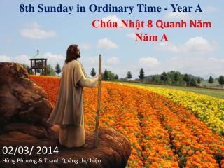 8th Sunday in Ordinary Time - Year A