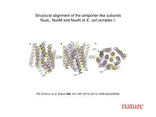 RG Efremov et al. Nature 465 , 441-445 (2010) doi:10.1038/nature09066