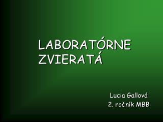 LABORATÓRNE ZVIERATÁ