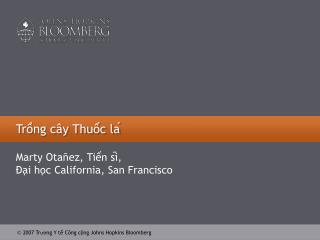 Trồng cây Thuốc lá