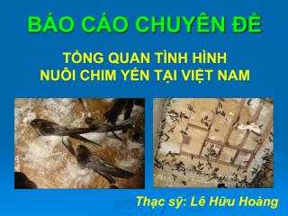 BÁO CÁO CHUYÊN ĐỀ