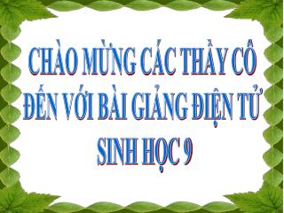 CHÀO MỪNG CÁC THẦY CÔ ĐẾN VỚI BÀI GIẢNG ĐIỆN TỬ SINH HỌC 9