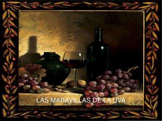 LAS MARAVILLAS DE LA UVA