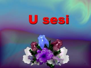 U sesi