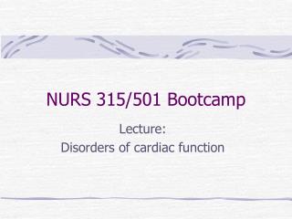 NURS 315/501 Bootcamp