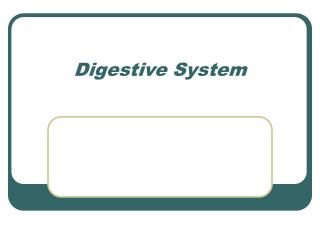 Digestive System