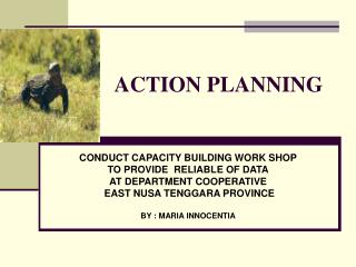ACTION PLANNING