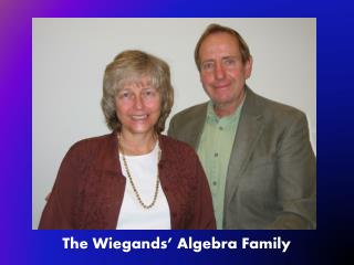 The Wiegands’ Algebra Family