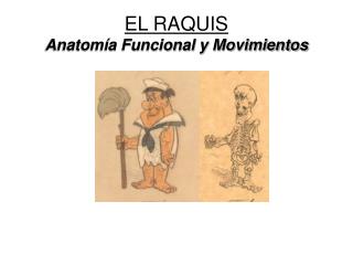 EL RAQUIS Anatomía Funcional y Movimientos