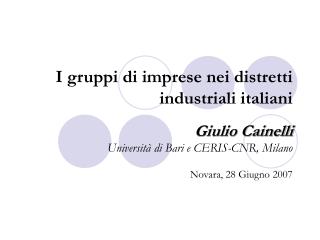 I gruppi di imprese nei distretti industriali italiani