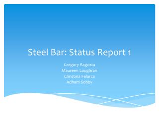 Steel Bar: Status Report 1