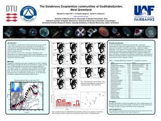 The Gelatinous Zooplankton communities of Godthåbsfjorden, West Greenland