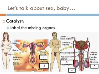 Let’s talk about sex, baby…