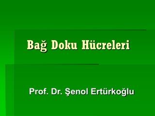 Bağ Doku Hücreleri