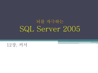 뇌를 자극하는 SQL Server 2005