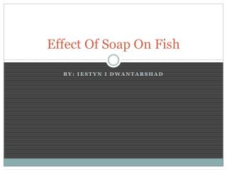 Effect Of Soap On Fish