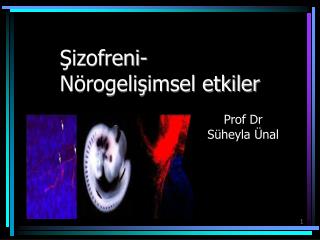 Şizofreni- Nörogelişimsel etkiler