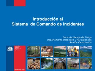 Introducción al Sistema de Comando de Incidentes Gerencia Manejo del Fuego