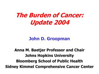 The Burden of Cancer: Update 2004