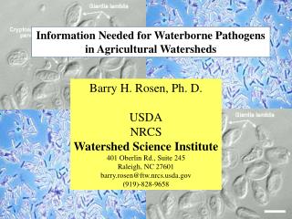 Information Needed for Waterborne Pathogens in Agricultural Watersheds