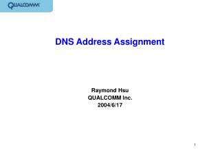 DNS Address Assignment