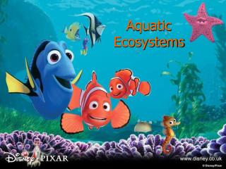 Aquatic Ecosystems