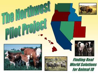 The Northwest Pilot Project