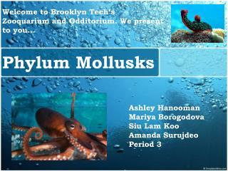 MOLLUSKS