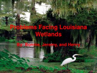 Problems Facing Louisiana Wetlands