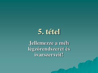 5. tétel