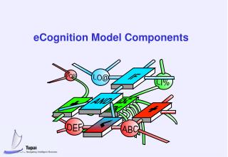 eCognition Model Components