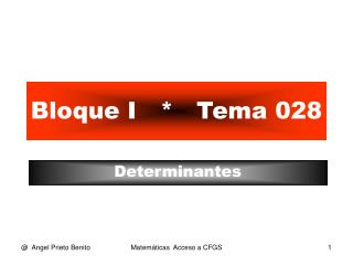 Bloque I * Tema 028