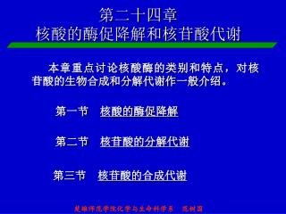 第二十四章 核酸的酶促降解和核苷酸代谢