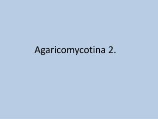 Agaricomycotina 2.