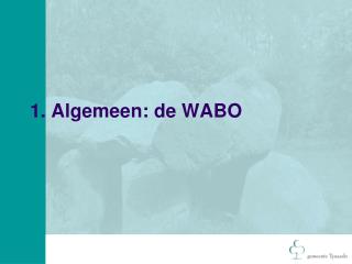 1. Algemeen: de WABO