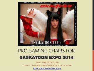 PRO Gaming Chairs for Saskatoon Expo 2014 on SALE