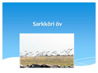 Sarkköri öv