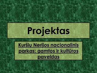 Projektas