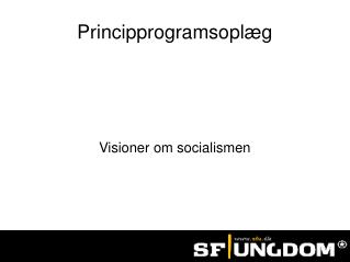 Principprogramsoplæg