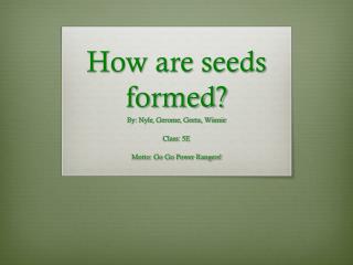 How are seeds formed?