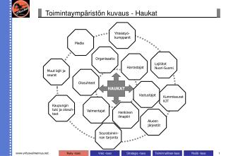 Toimintaympäristön kuvaus - Haukat